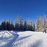 Apartment Jahor 18 *