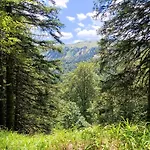 Jahor 18 Apartment *