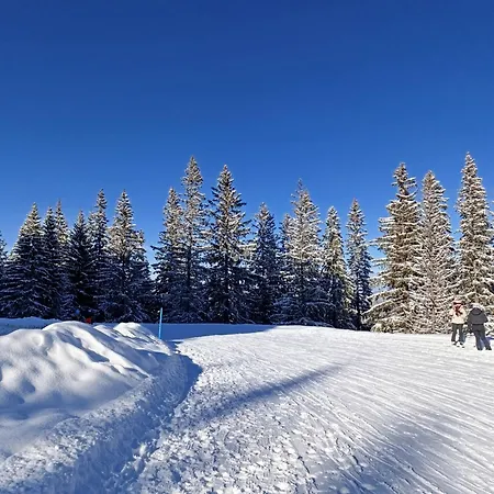 Appartement Jahor 18 *