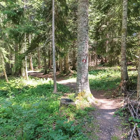 Jahor 18 * Jahorina