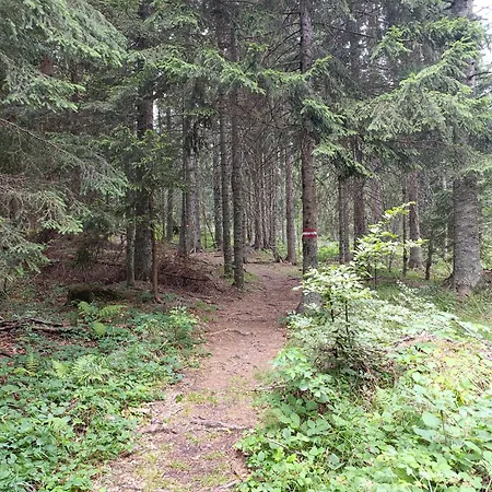 Jahor 18 Jahorina