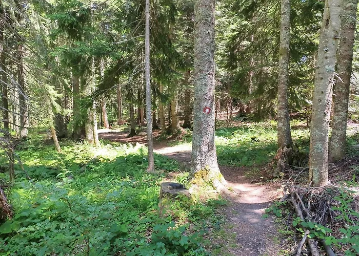 Jahor 18 * 亚霍里纳