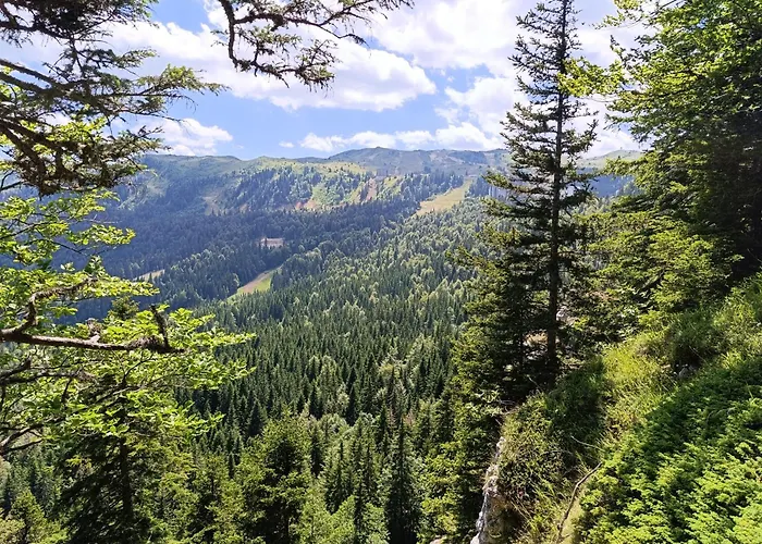 Jahor 18 * 亚霍里纳