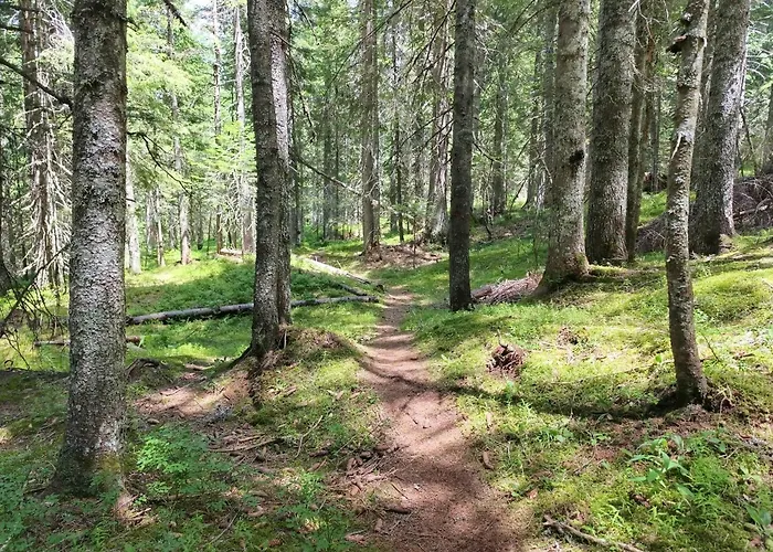 Jahor 18 亚霍里纳