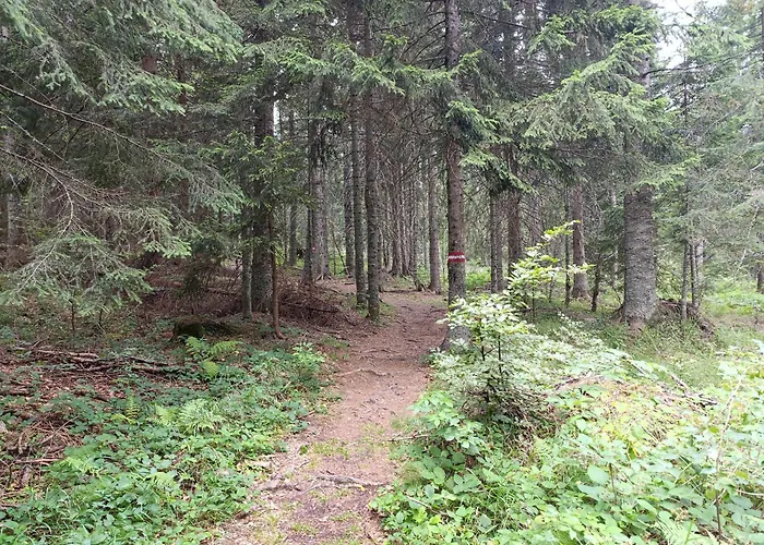 Jahor 18 亚霍里纳